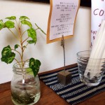 絶品の珈琲とおもてなしの糸島の隠れ家的なペタ二コーヒーに行ってきました♫